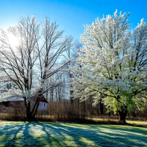 Scenic view of New England in spring with blooming trees and clear skies