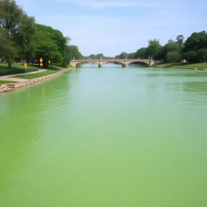 Cyanobacteria bloom in Muddy River with warning signs